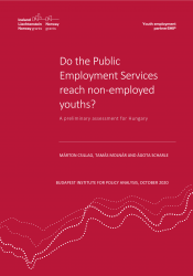 Do the Public Employment Services reach non-employed youths?